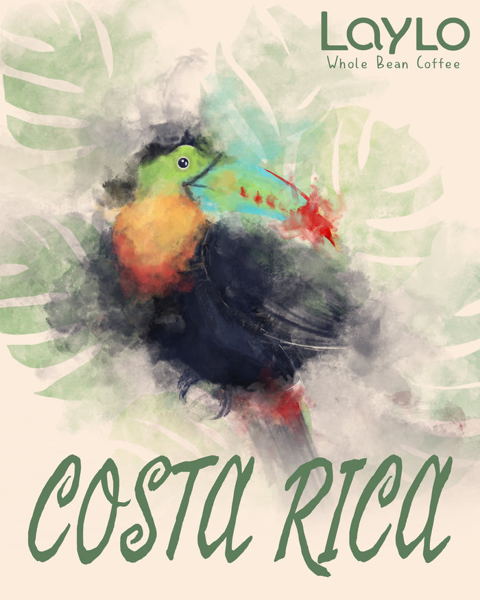 Coffee preparation detail — ritual and craft